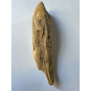 Driftwood from Hetch Hetchy dam 12 inches aquarium art decor